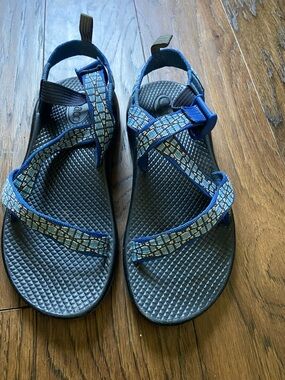 Blue Chaco Sandals